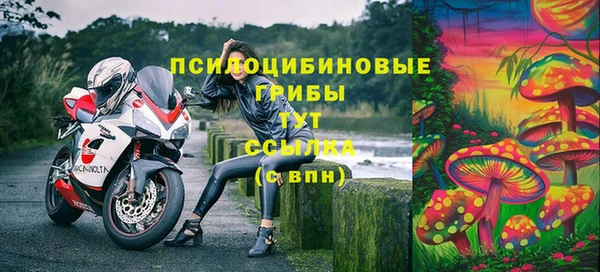 стаф Верхний Тагил