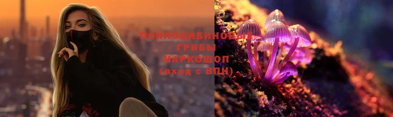 Псилоцибиновые грибы Magic Shrooms Каневская